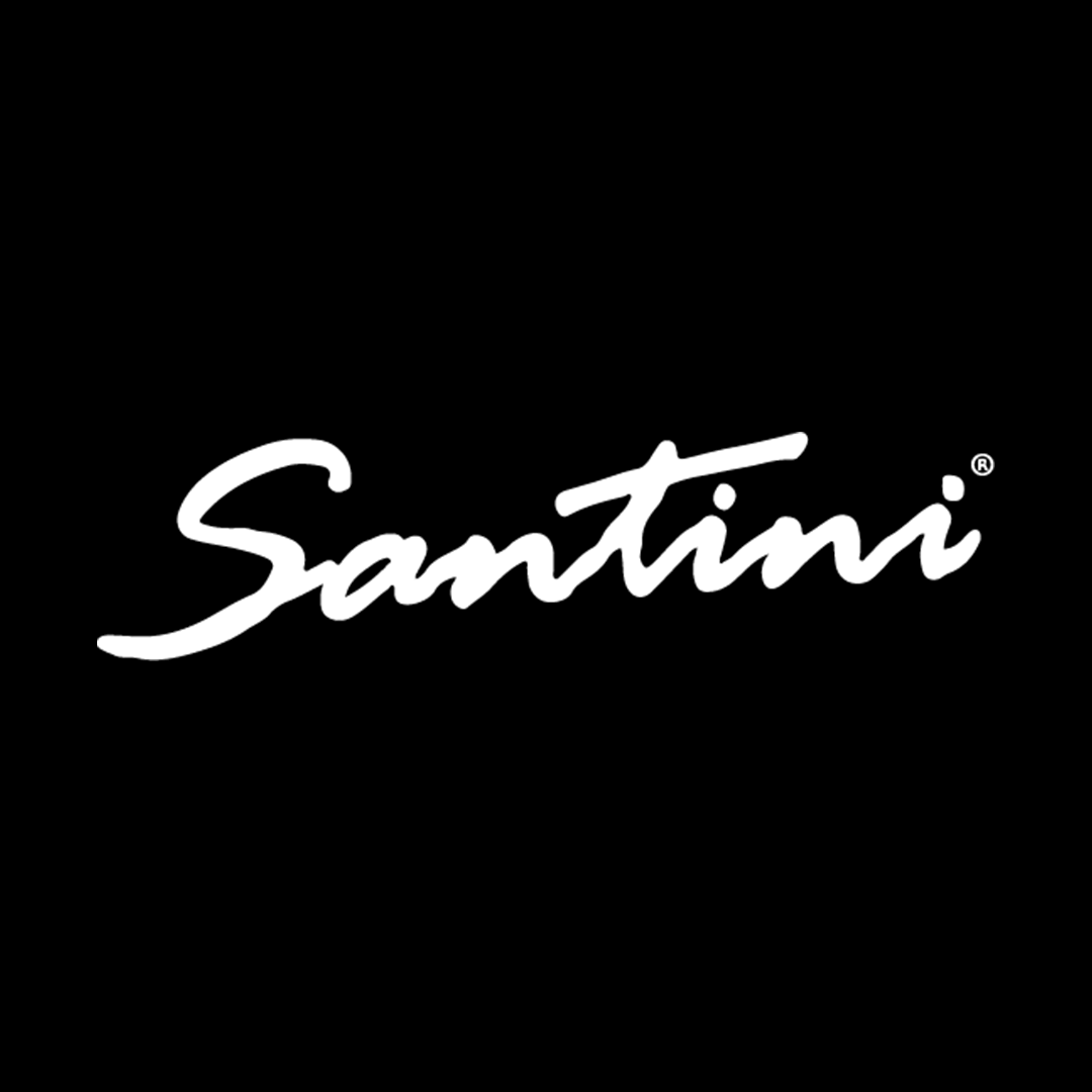 Santini Luthier