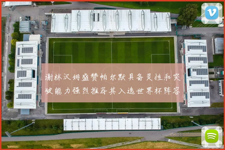 谢林汉姆盛赞帕尔默具备灵性和突破能力强烈推荐其入选世界杯阵容