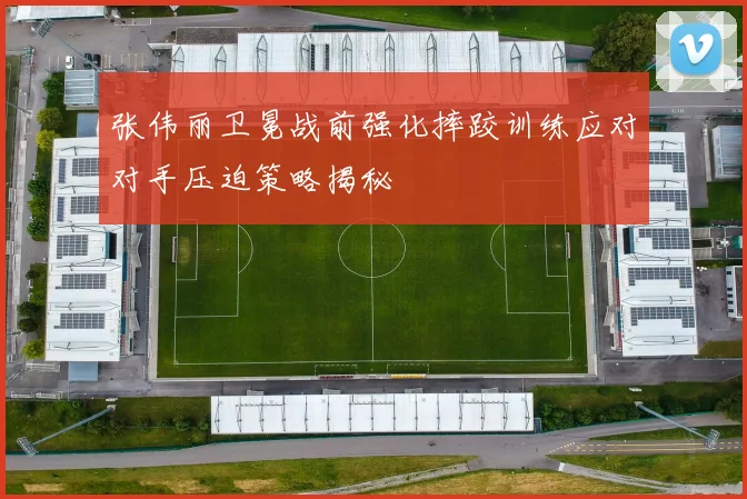 张伟丽卫冕战前强化摔跤训练应对对手压迫策略揭秘